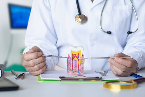 Best Root Canal Emergency Dentist  in Mahanoy City, PA